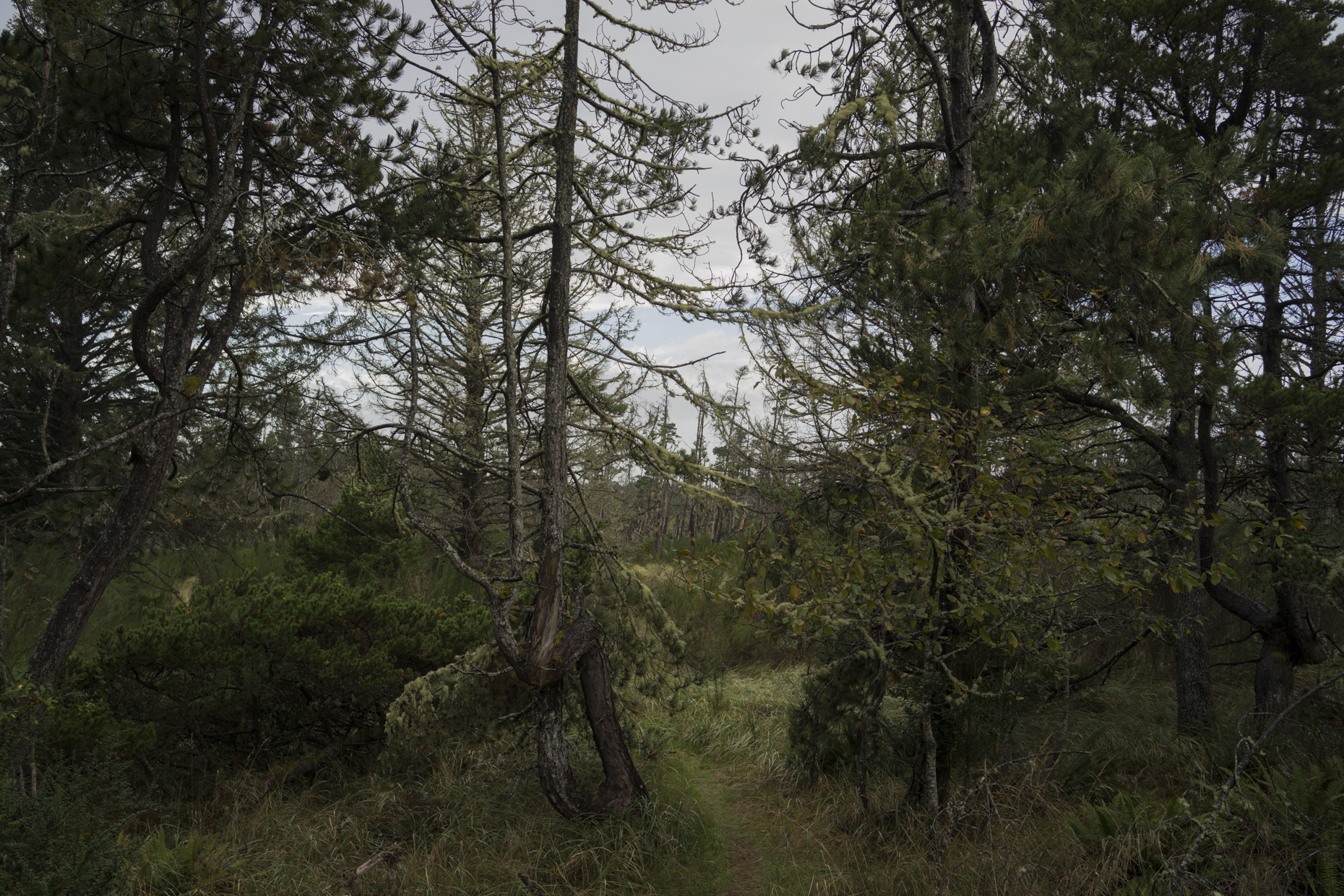 010_2015_08086