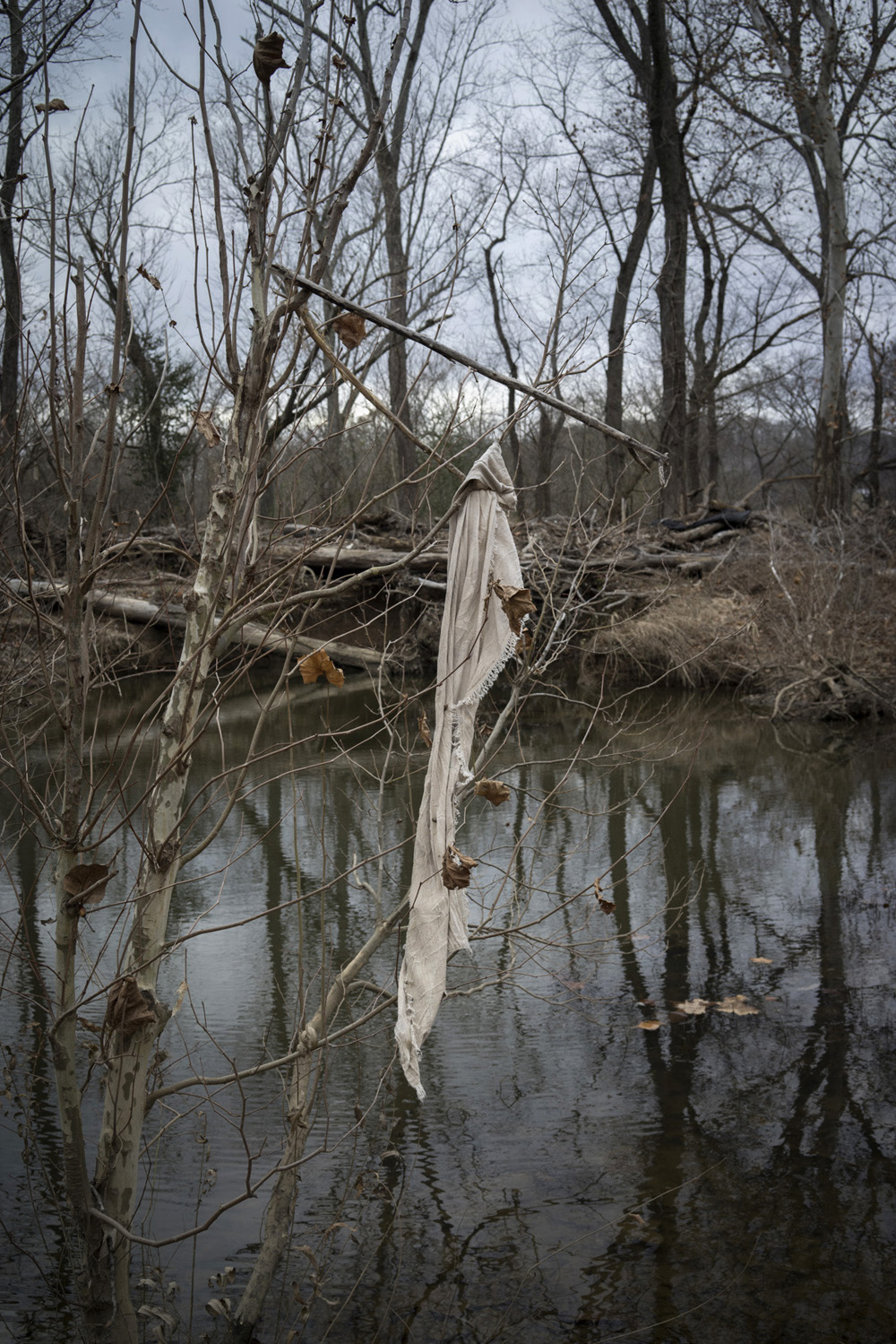 035_DSC1843
