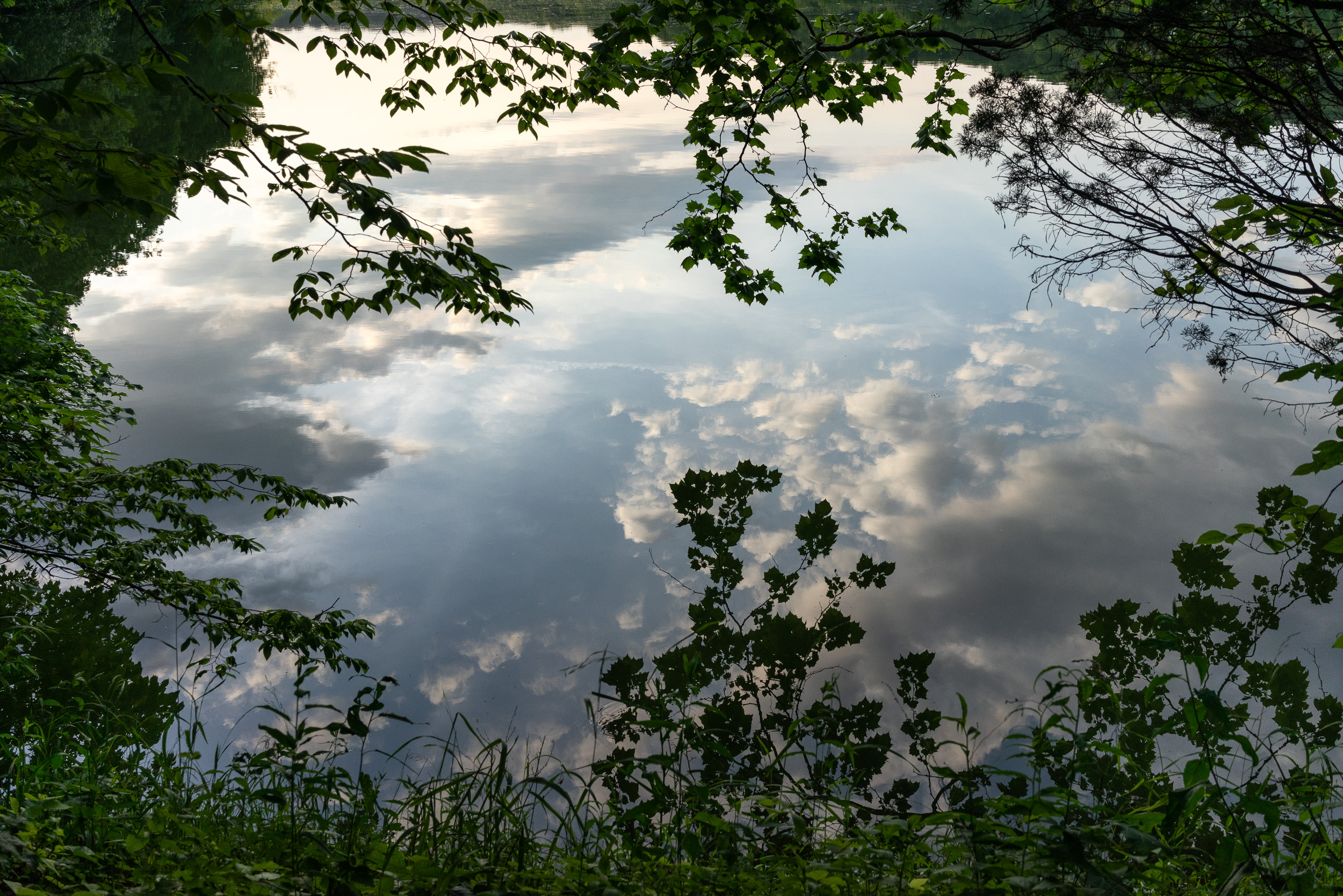 16-2022_01332-Amadeo-Lasansky