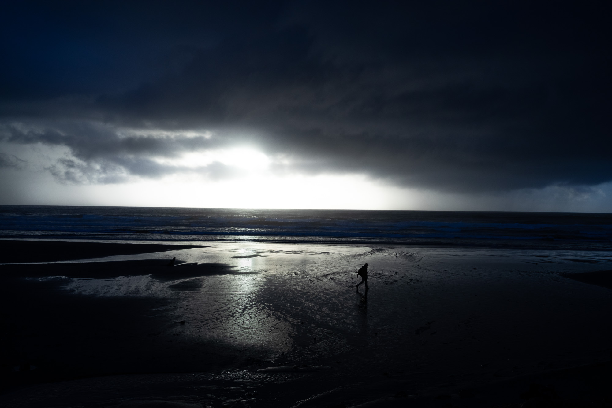 A Dream of Shadows